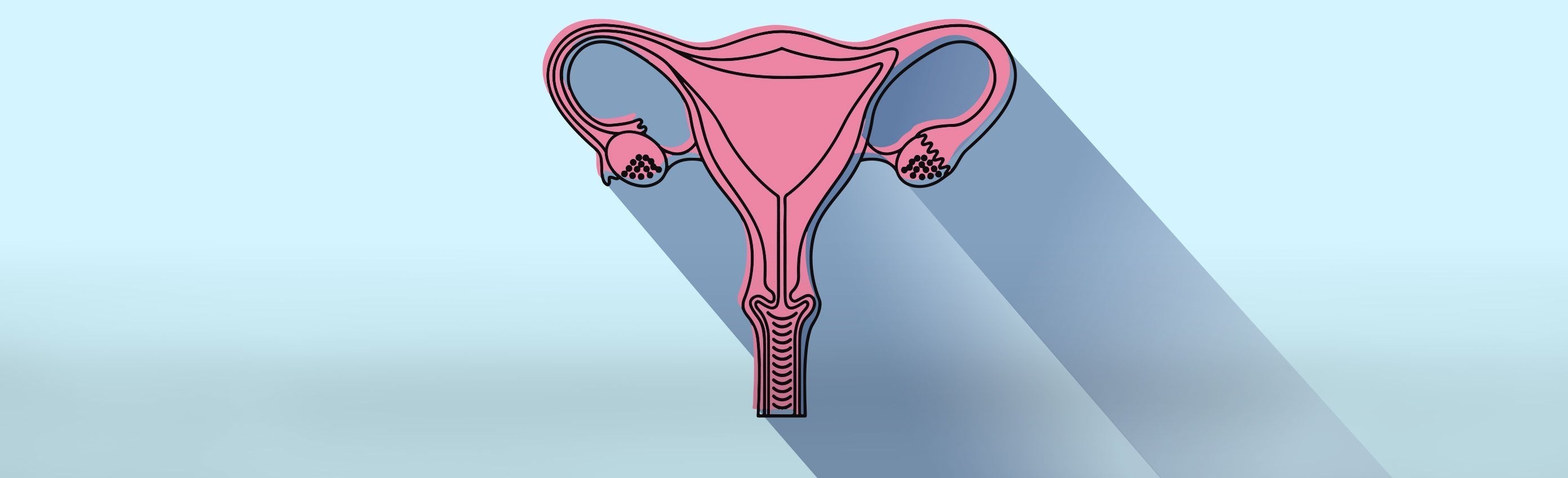 FLEX ED | How To Locate Your Cervix